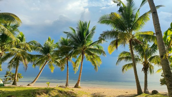 Comment organiser un camping pour une expédition de randonnée dans les montagnes de l'Atlas?