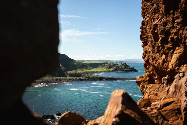 Quelle croisière offre des excursions pour observer les ours bruns au Canada?